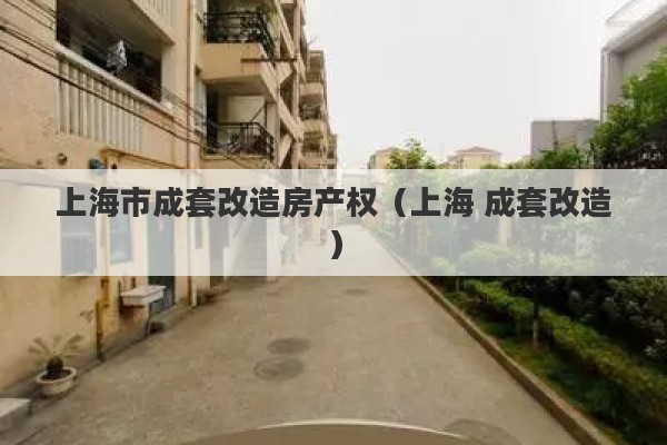 上海市成套改造房产权（上海 成套改造）
